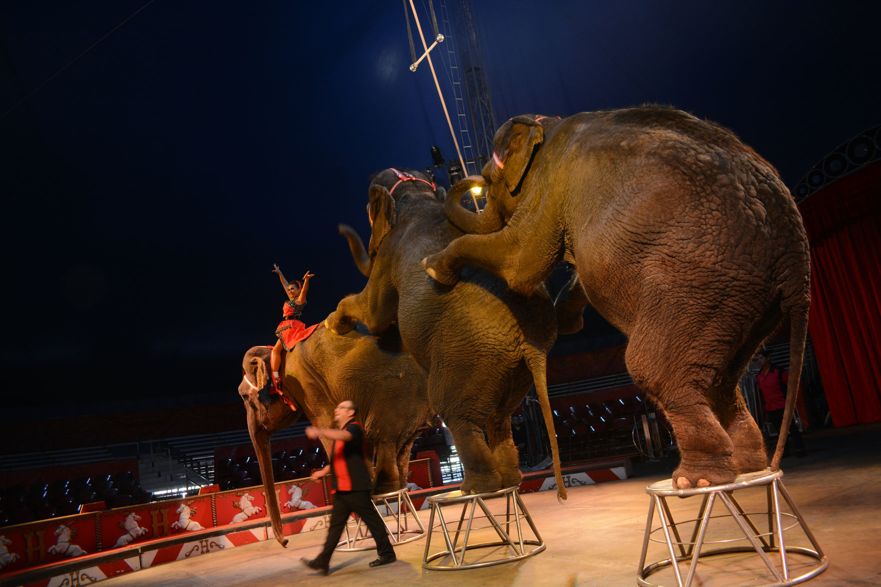 051918-bara-news-circus24